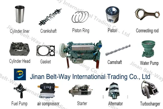 Shacman FAW HOWO Dongfeng Beiben Foton pièces de camion boîte de vitesses cul