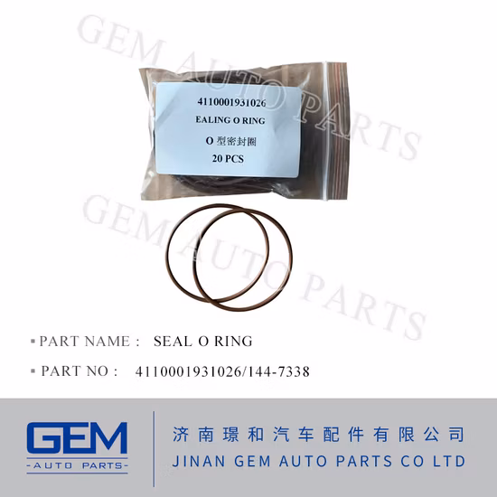 4110001931013 Joint torique 5e